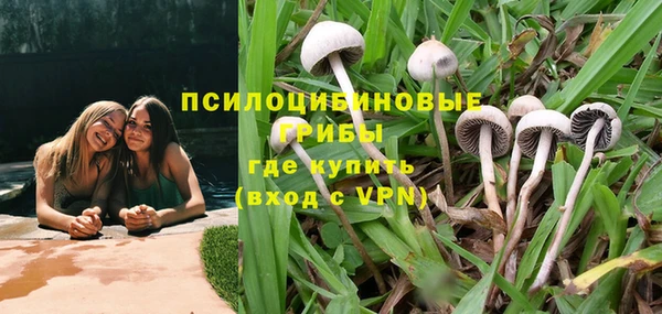 бошки Беломорск